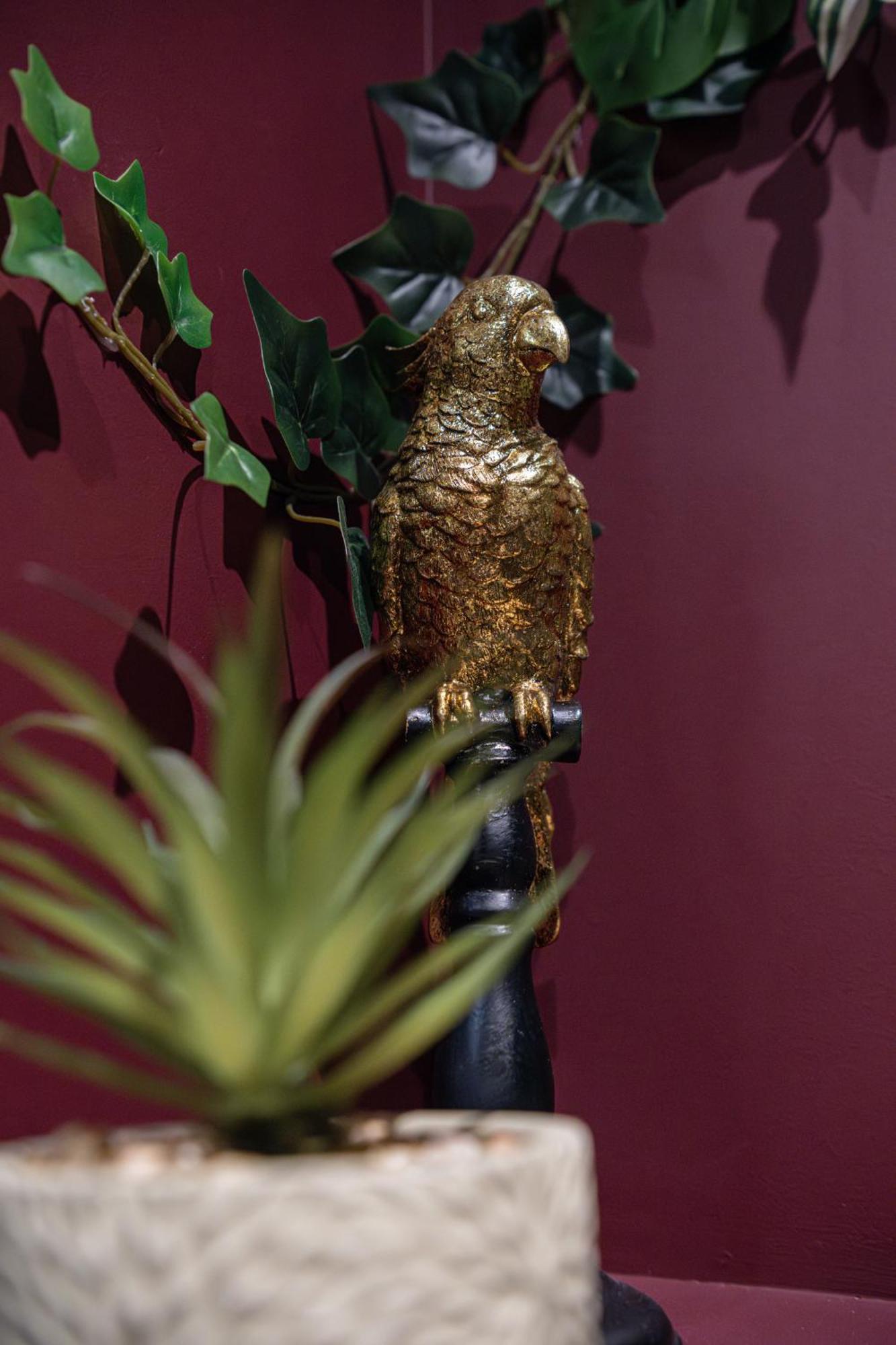 Secret Jungle - Love Room By Prim0 C0Nciergerie Royat Exterior photo